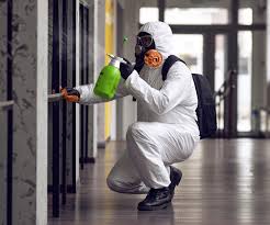 Why You Should Choose Our Mold Remediation Services in Paisley, FL